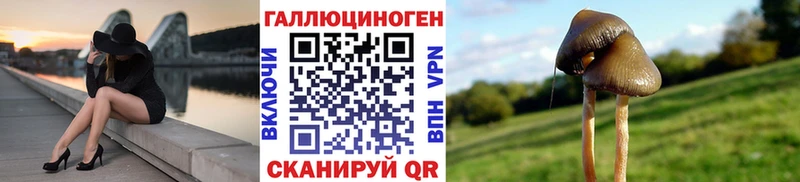 где найти наркотики  сайты даркнета состав  Псилоцибиновые грибы мицелий  Шахты 